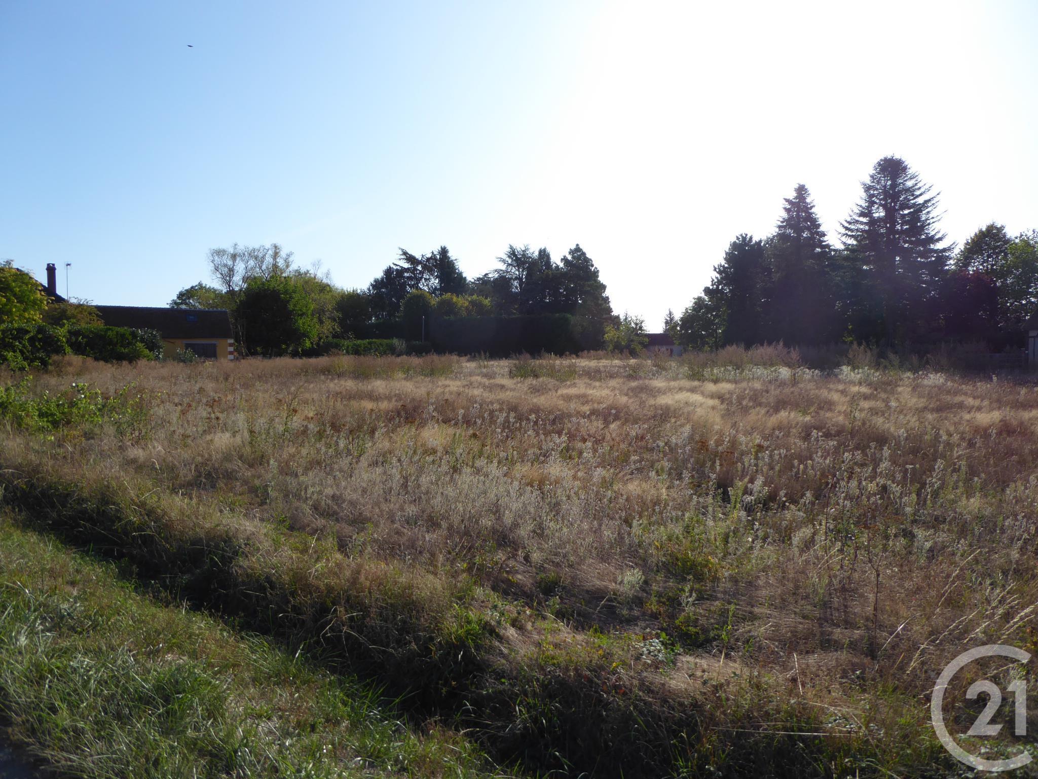 Terrain à vendre - 4261 m2 - NIBELLE - 45 - CENTRE