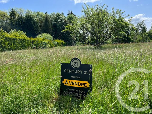 terrain à vendre - 1074.0 m2 - BEAUNE LA ROLANDE - 45 - CENTRE - Century 21 Mail Sud