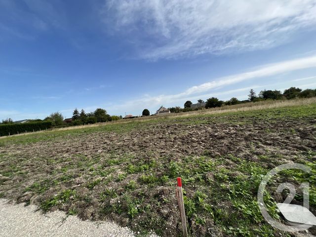 terrain - BOUZONVILLE AUX BOIS - 45