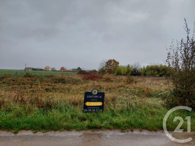 terrain - PITHIVIERS - 45