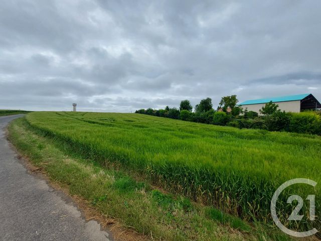 terrain - PITHIVIERS - 45