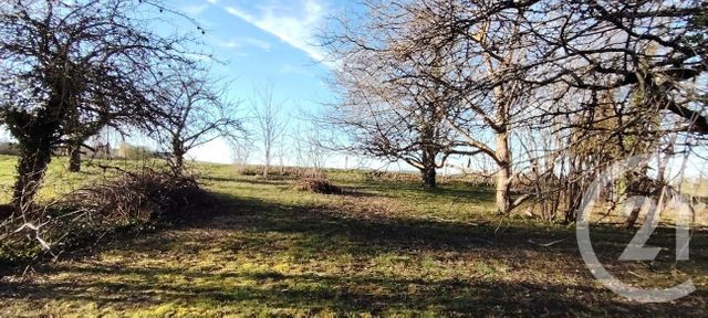 terrain à vendre - 455.0 m2 - PUISEAUX - 45 - CENTRE - Century 21 Mail Sud