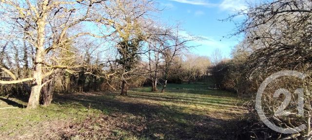 Terrain à vendre PUISEAUX