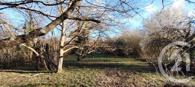 terrain à vendre - 455.0 m2 - PUISEAUX - 45 - CENTRE - Century 21 Mail Sud