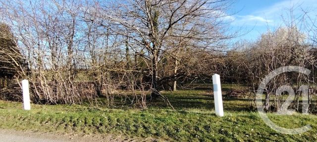 terrain à vendre - 455.0 m2 - PUISEAUX - 45 - CENTRE - Century 21 Mail Sud