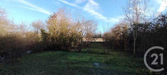 terrain à vendre - 455.0 m2 - PUISEAUX - 45 - CENTRE - Century 21 Mail Sud